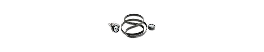 Courroie d'Accessoires