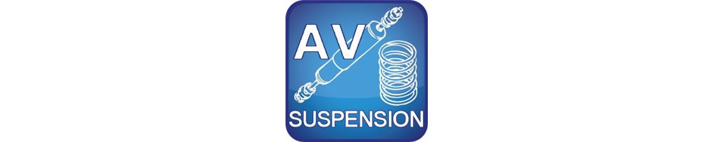 Suspension Avant