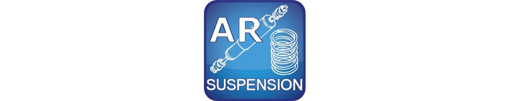 Suspension Arrière