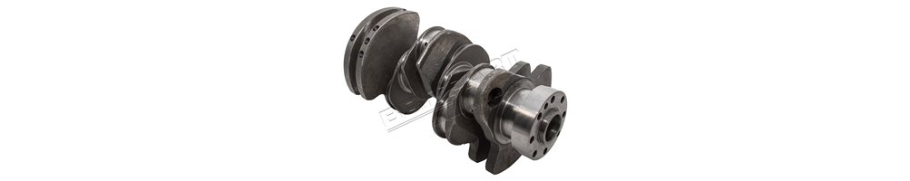 Bas Moteur