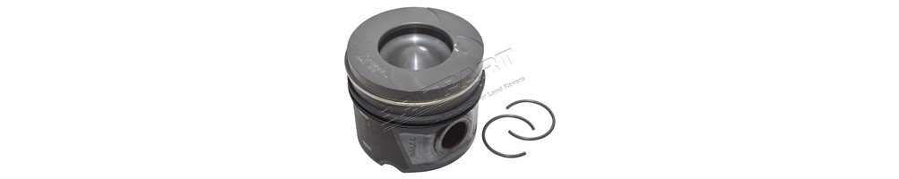 Piston - Segment