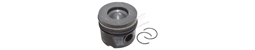 Piston - Segment